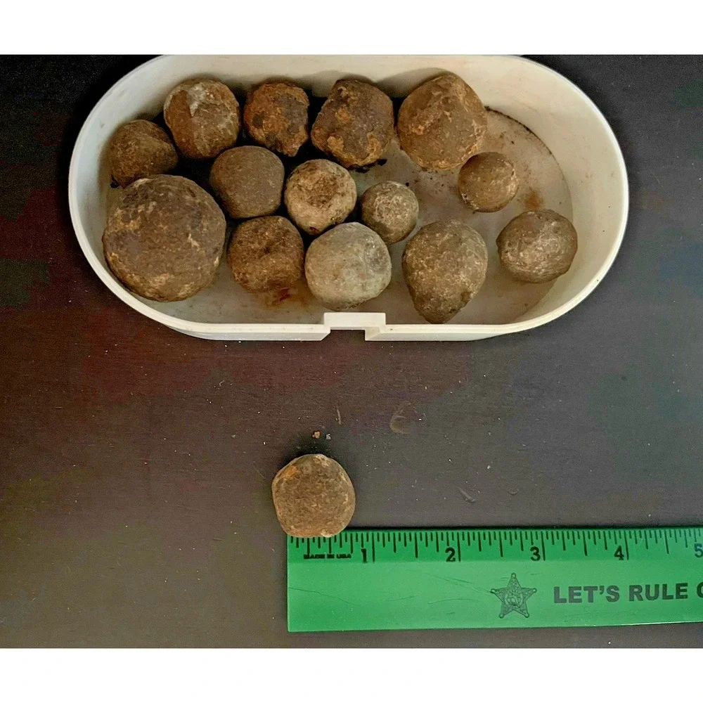 Civil War Era Grape Shot Canister Lot of‎ 15~1.60 lbs-South Carolina Recovery
